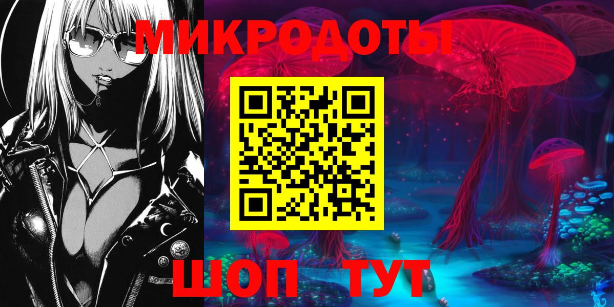 Псилоцибиновые грибы Psilocybine cubensis  Морозовск 