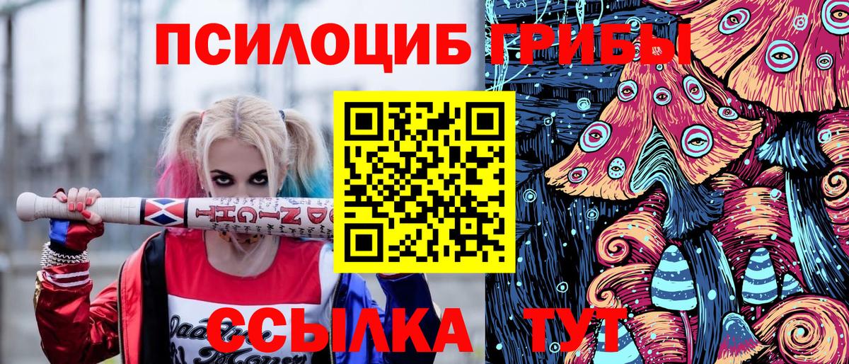 Морозовск  Галлюциногенные грибы мухоморы  Вход с VPN 