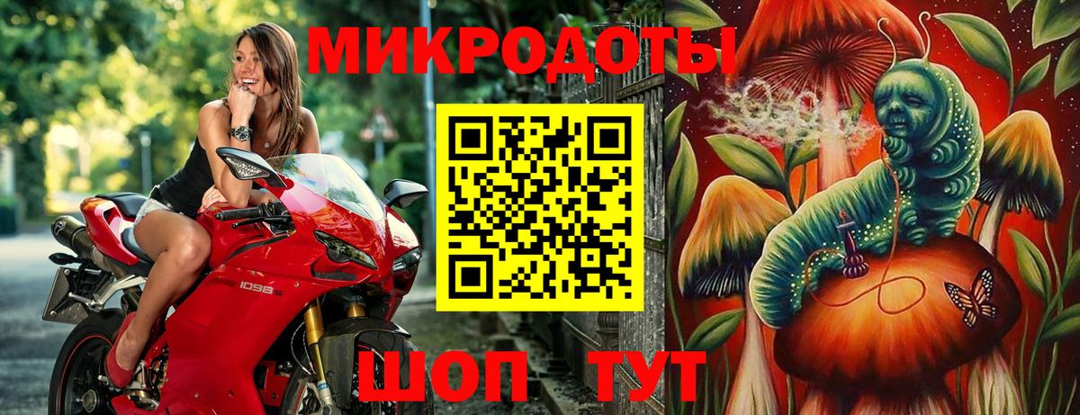 Галлюциногенные грибы Psilocybine cubensis Морозовск