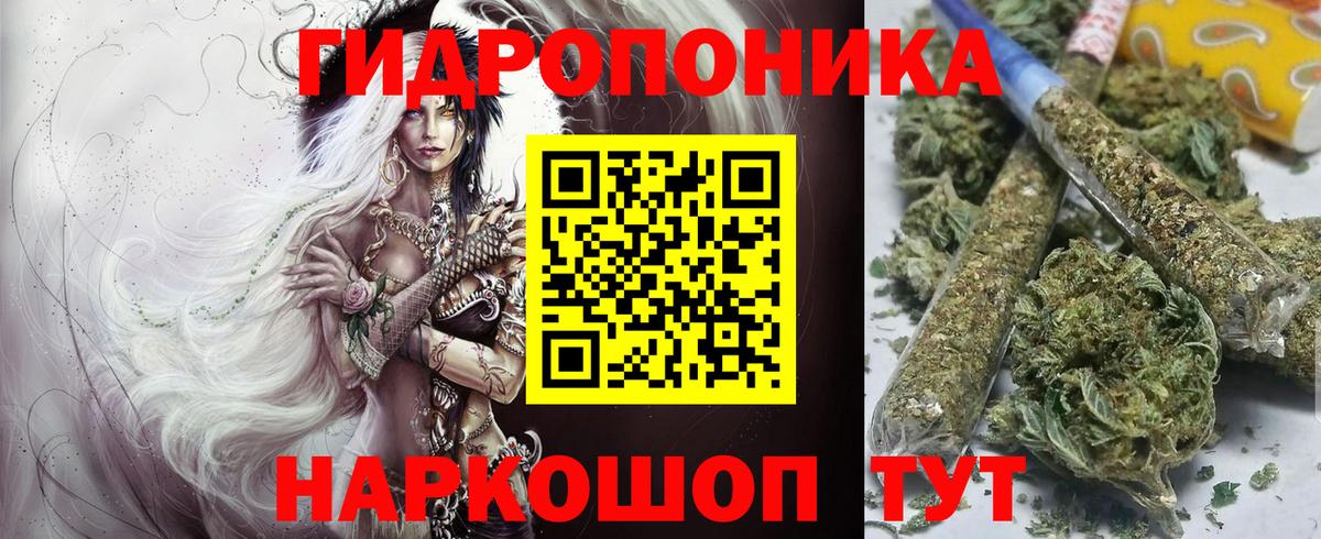 Шишки марихуана LSD WEED  Вход с VPN  Марихуана VHQ  Морозовск  Каннабис OG Kush 